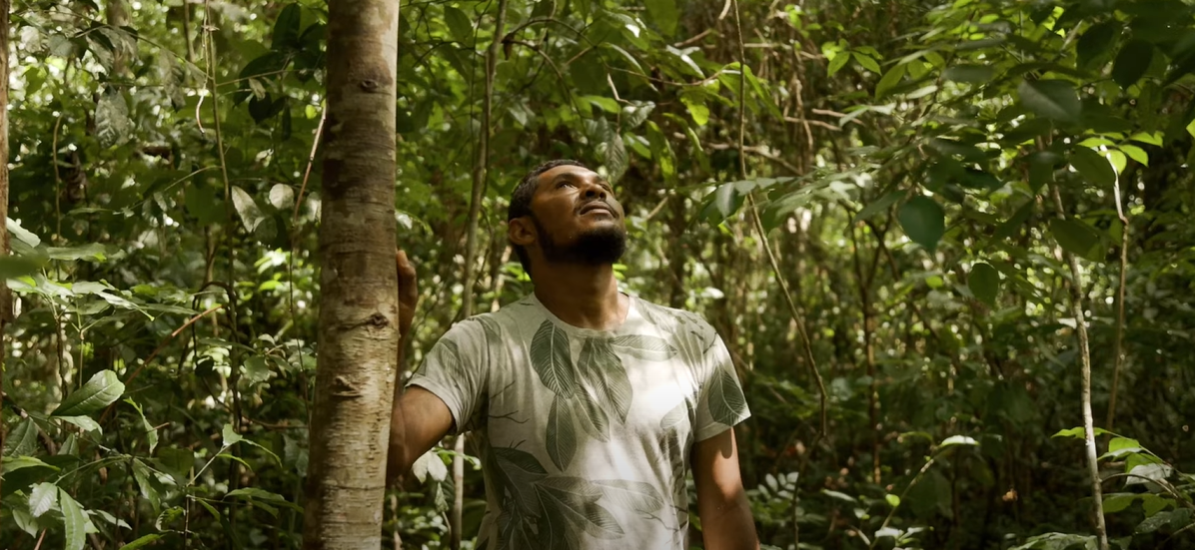Calmaria que luta e preserva a natureza